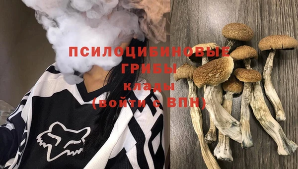 твердый Баксан