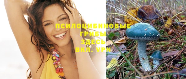молекула духа Балахна