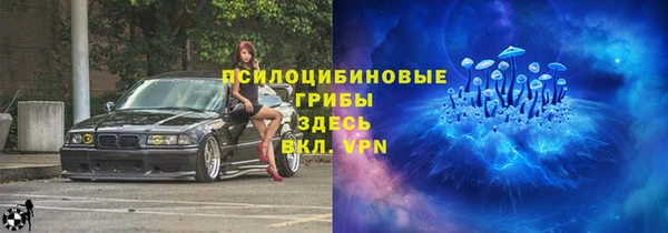 молекула духа Балахна