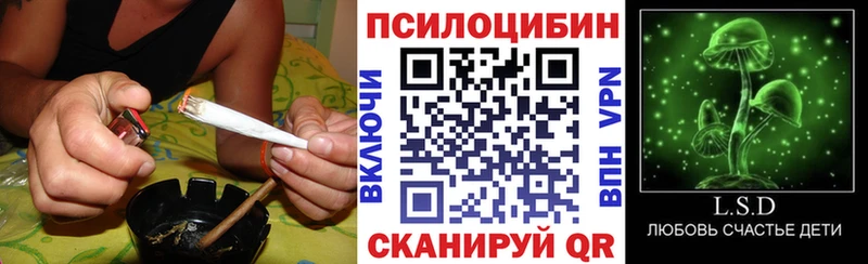 Псилоцибиновые грибы Cubensis  Бежецк 